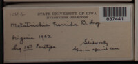 Image Associated With the Occurrence